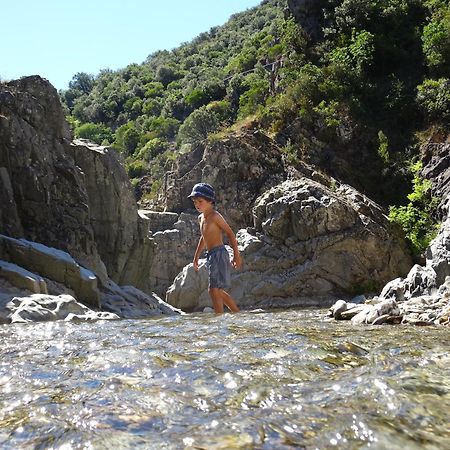 La Frigoule, Un Gite Au Coeur Du Parc Des Cevennes Generargues Εξωτερικό φωτογραφία