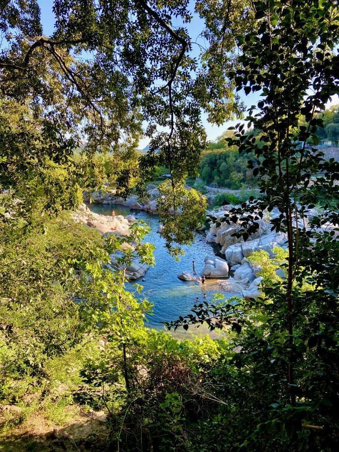 La Frigoule, Un Gite Au Coeur Du Parc Des Cevennes Generargues Εξωτερικό φωτογραφία