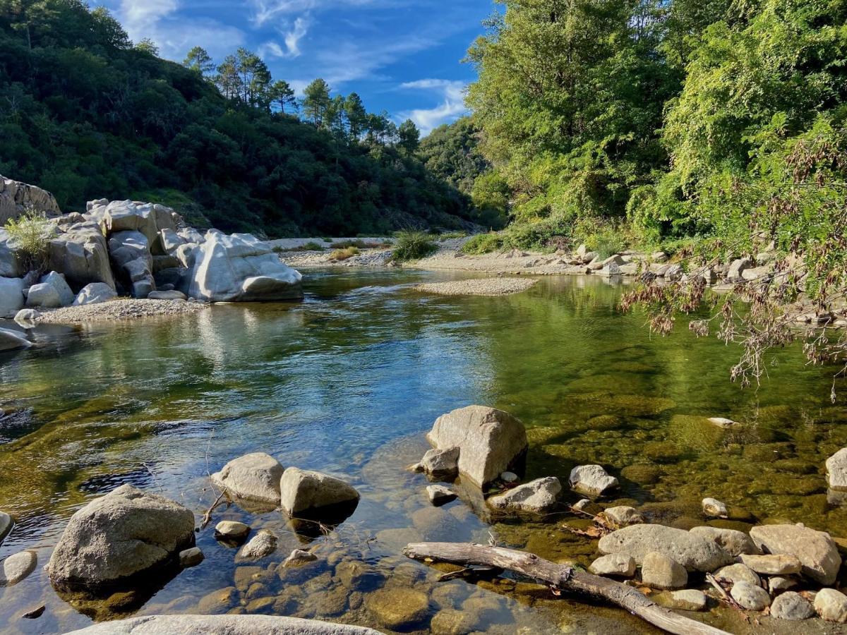 La Frigoule, Un Gite Au Coeur Du Parc Des Cevennes Generargues Εξωτερικό φωτογραφία