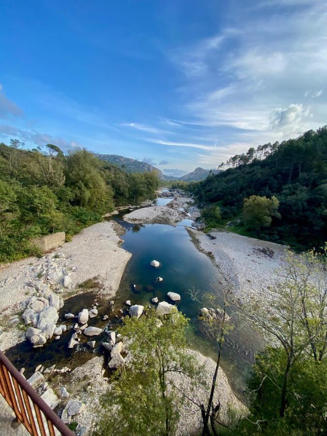La Frigoule, Un Gite Au Coeur Du Parc Des Cevennes Generargues Εξωτερικό φωτογραφία
