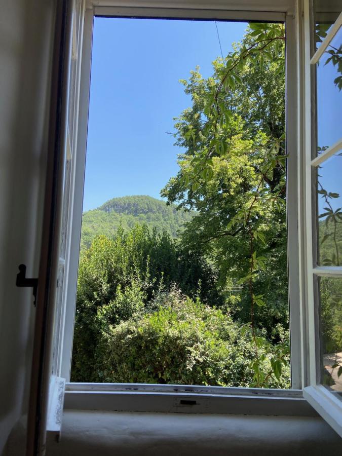 La Frigoule, Un Gite Au Coeur Du Parc Des Cevennes Generargues Εξωτερικό φωτογραφία