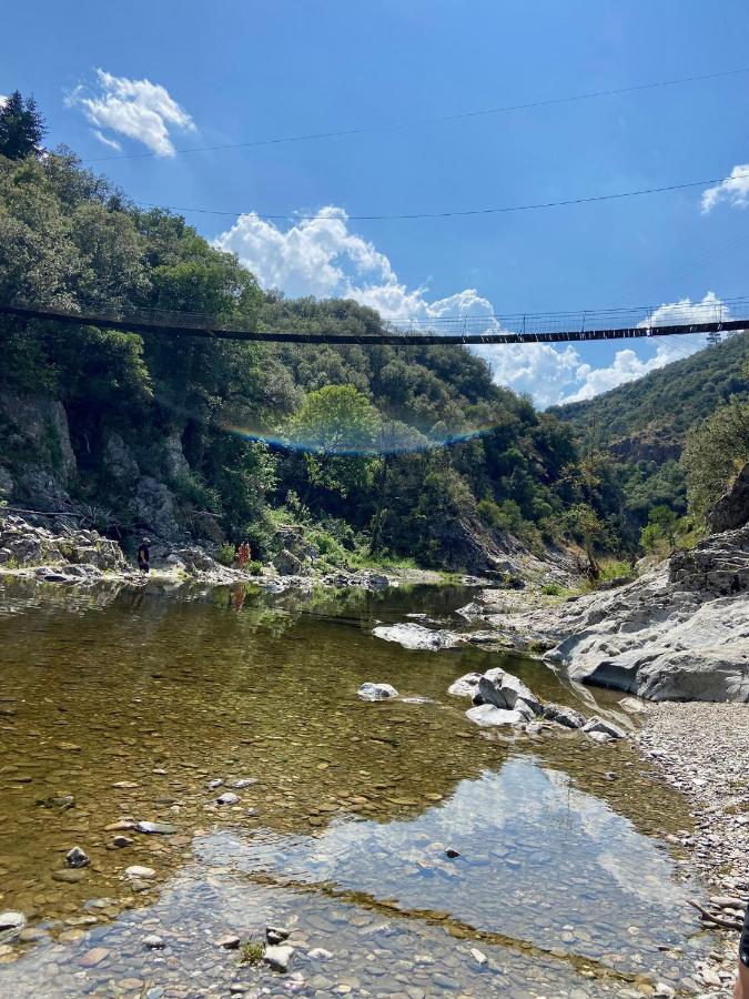 La Frigoule, Un Gite Au Coeur Du Parc Des Cevennes Generargues Εξωτερικό φωτογραφία