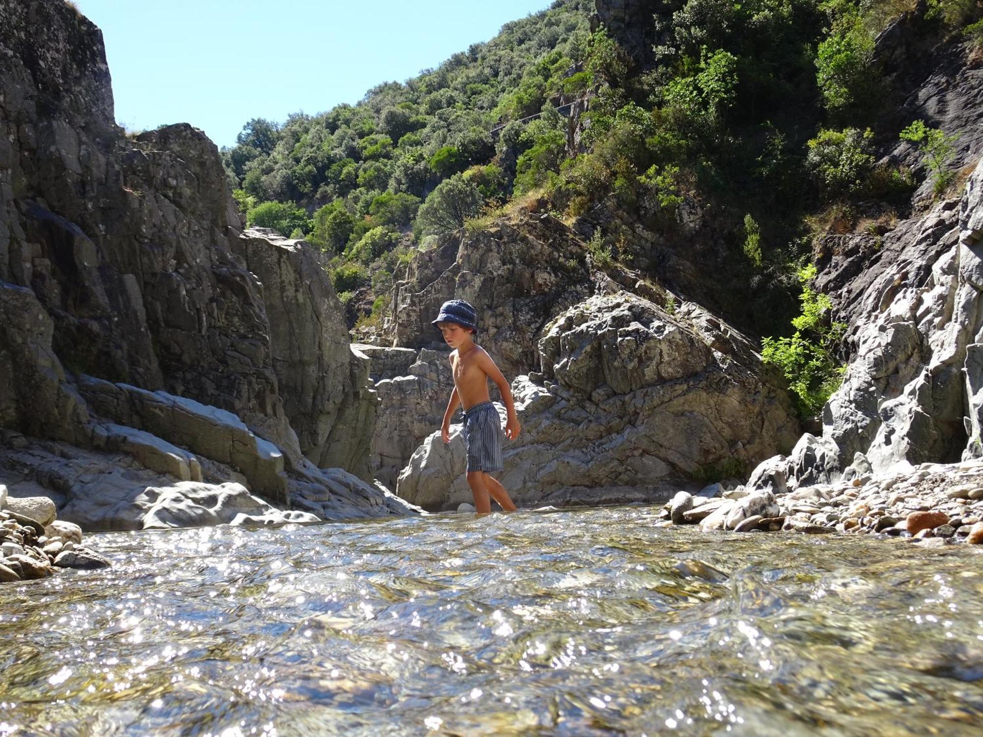 La Frigoule, Un Gite Au Coeur Du Parc Des Cevennes Generargues Εξωτερικό φωτογραφία